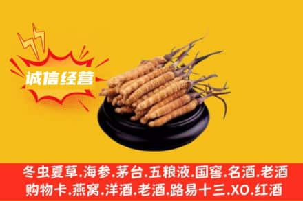 吉木乃县回收冬虫夏草
