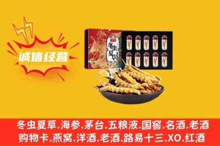 吉木乃县回收冬虫夏草鉴定方法